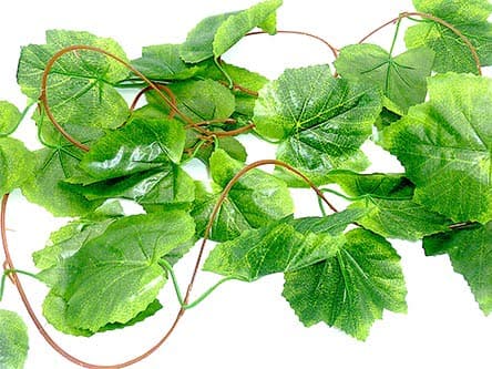 Grape Leaf Reptile Vine 5 Pack