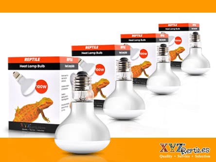 Wholesale Reptile Heat Bulbs 100W, 75W, 50W