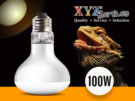Reptile Heat Lamp Bulb 100 Watt