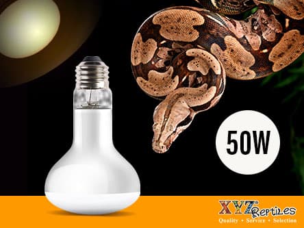 Reptile Heat Lamp Bulb 50 Watt