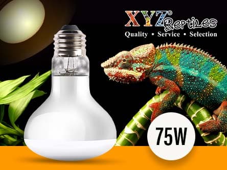 Reptile Heat Lamp Bulb 75 Watt